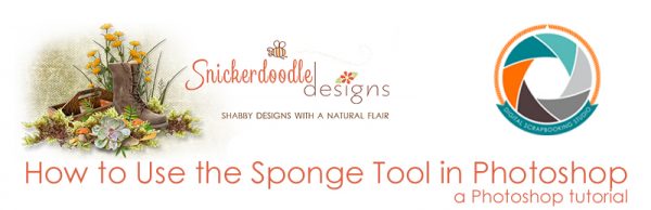 Branding-Sponge