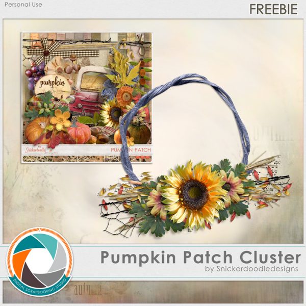 sd-pumpkin-patch-studio-free-800pv