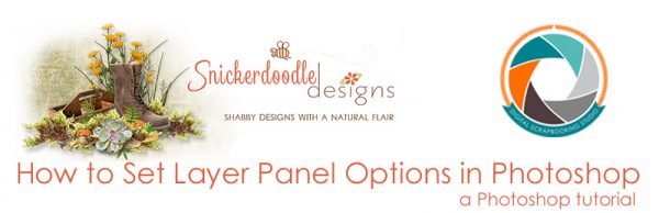 sd-layer-panel-options-header
