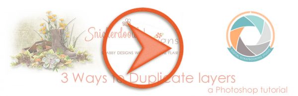 sd-duplicate-layers-video
