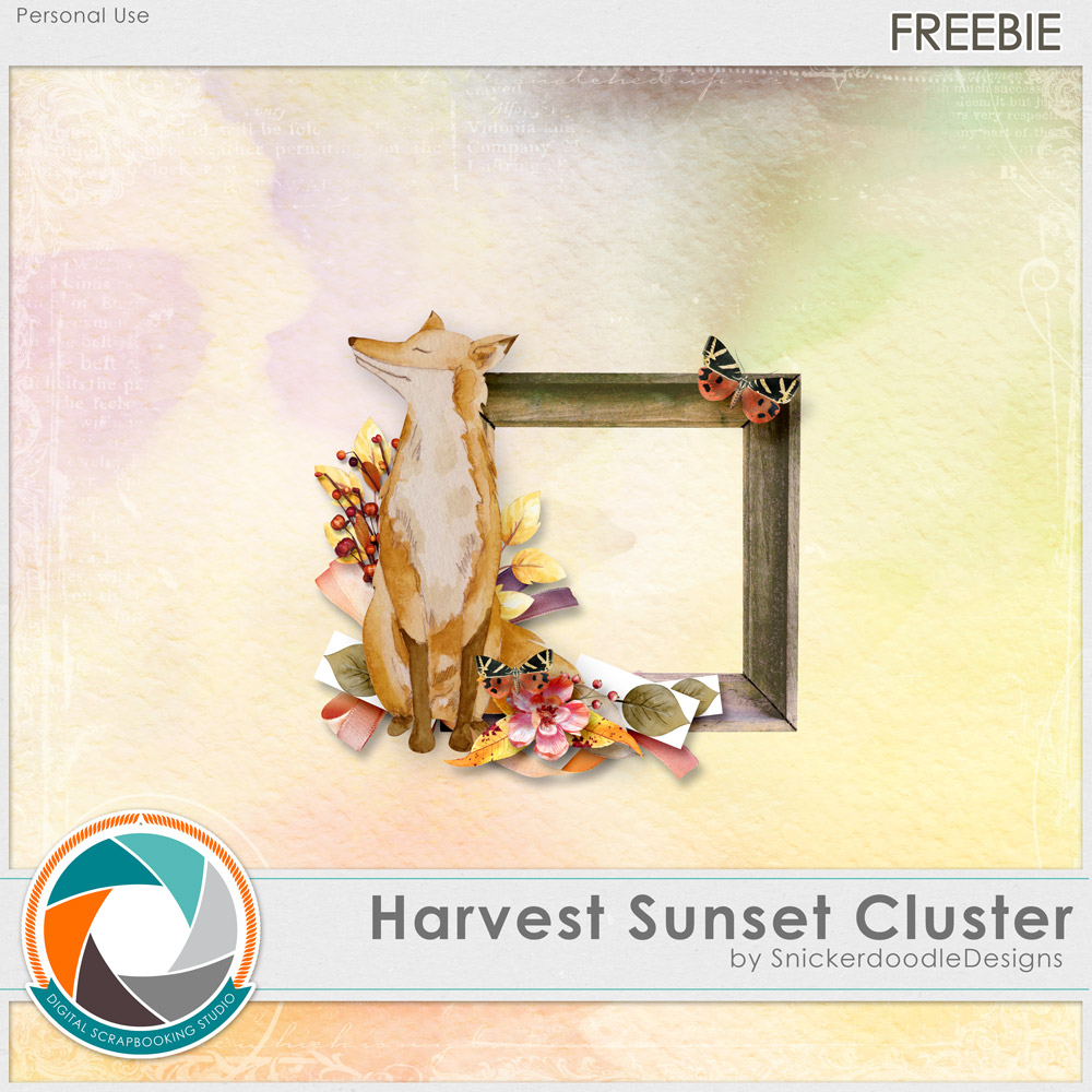 sd-harvest-sunset-dsstut-1000pv
